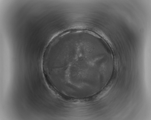 X0000115310434200911091140