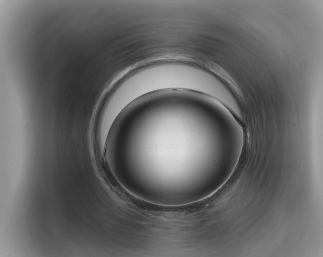X0000115310436200911091140