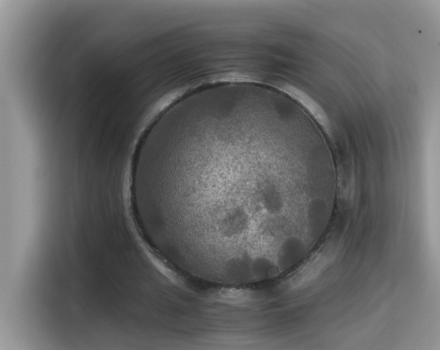 X0000115310437200911091140