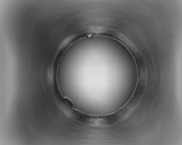 X0000115310440200911091140