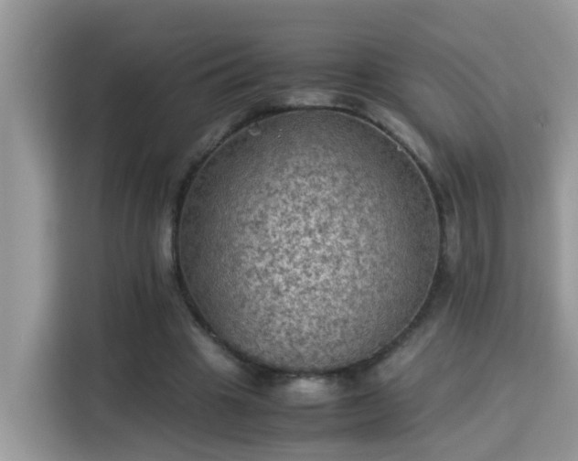 X0000115310441200911091140