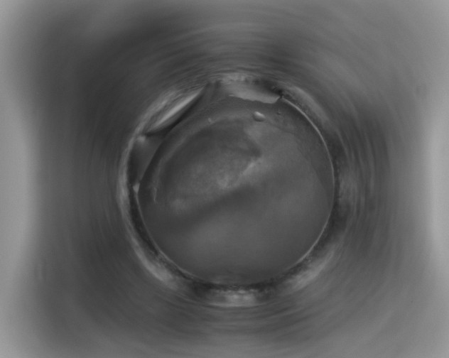 X0000115310443200911091140