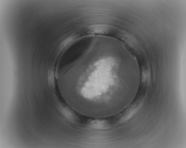X0000115310444200911091140