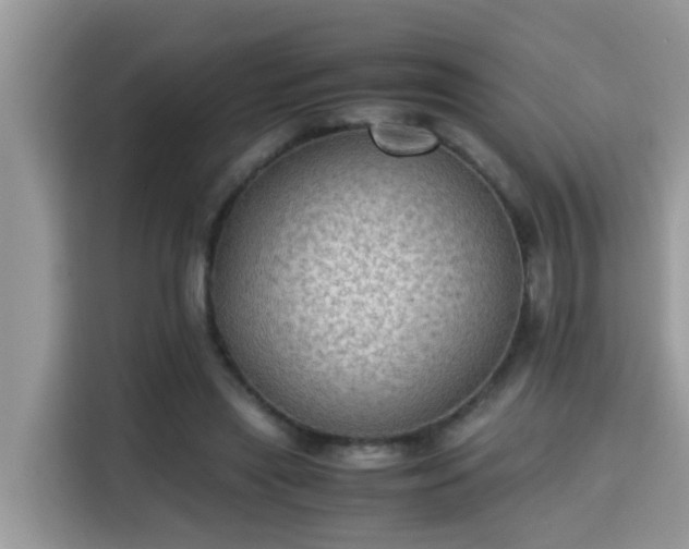 X0000115310445200911091140
