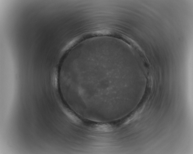 X0000115310446200911091140