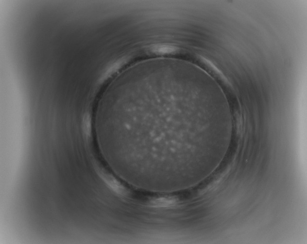X0000115310447200911091140