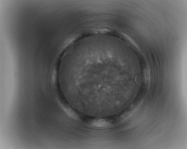 X0000115310451200911091140