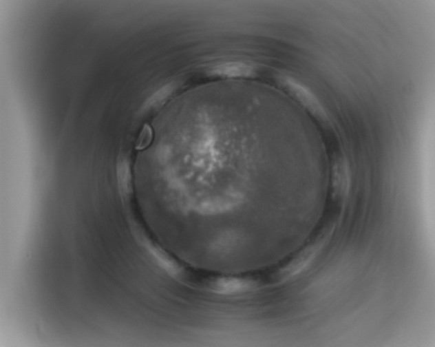 X0000115310453200911091140