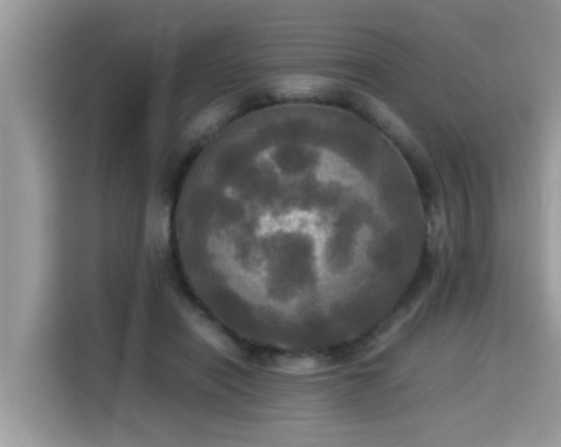 X0000115310454200911091140