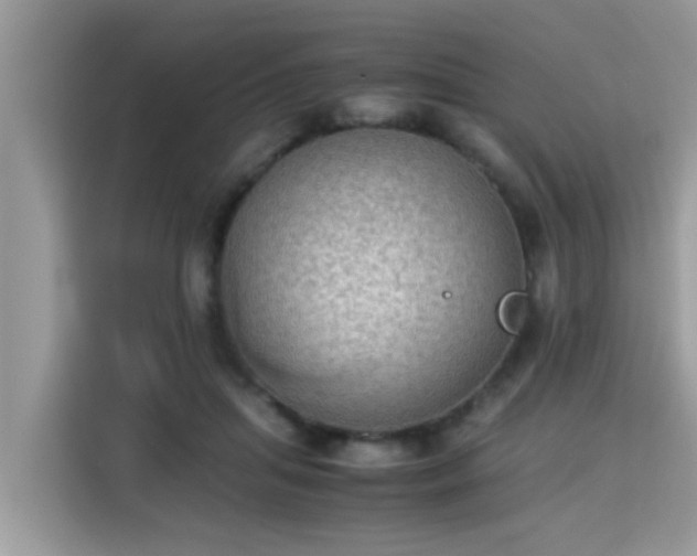 X0000115310455200911091140