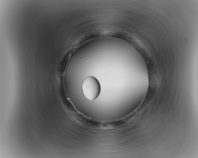 X0000115310456200911091140