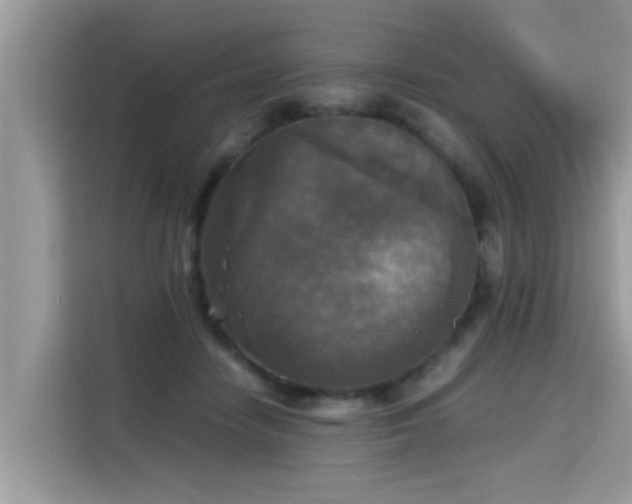 X0000115310458200911091140