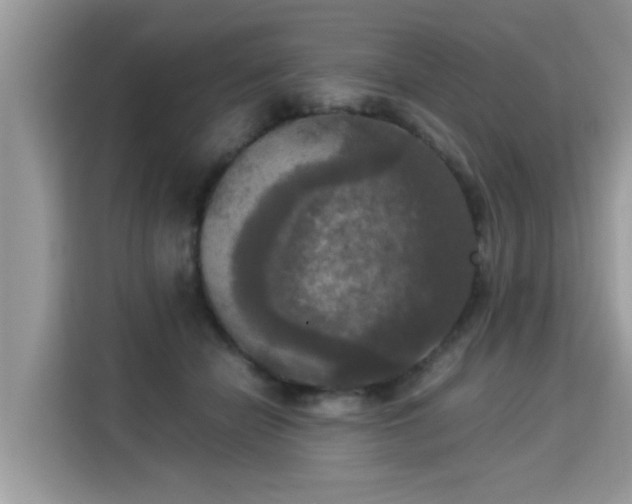 X0000115310462200911091140