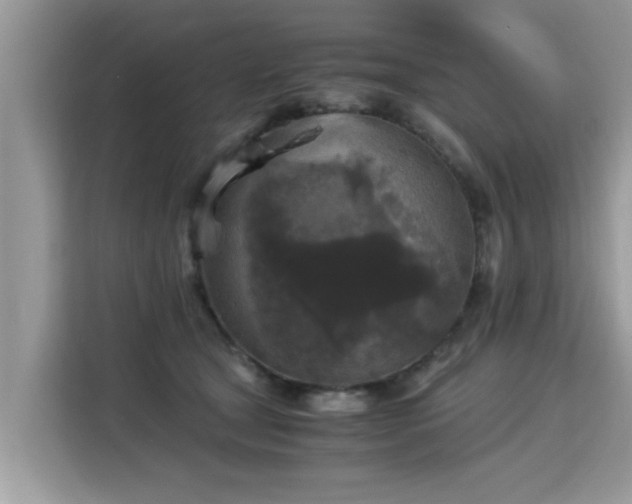 X0000115310465200911091140