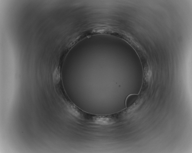 X0000115310471200911091140
