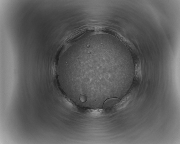 X0000115310474200911091140