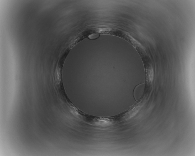 X0000115310475200911091140