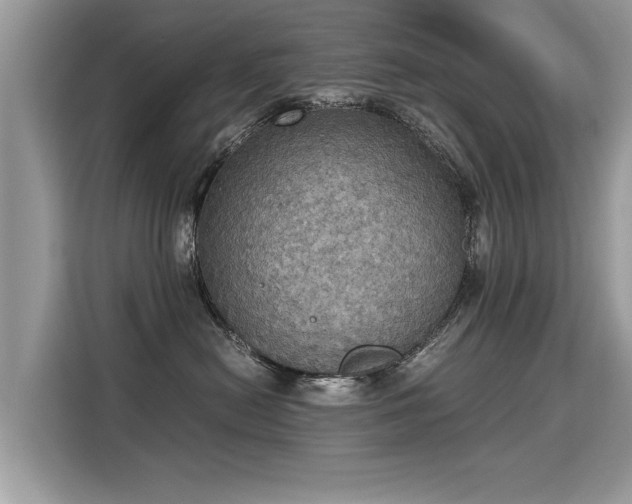 X0000115310478200911091140