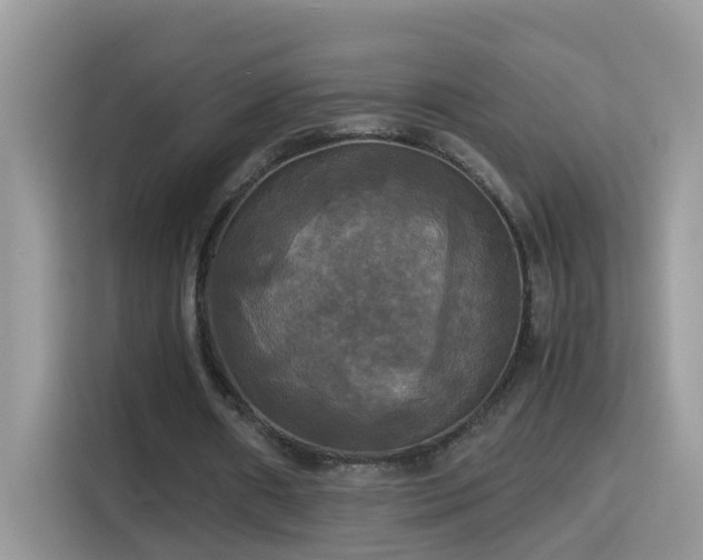 X0000115310482200911091140