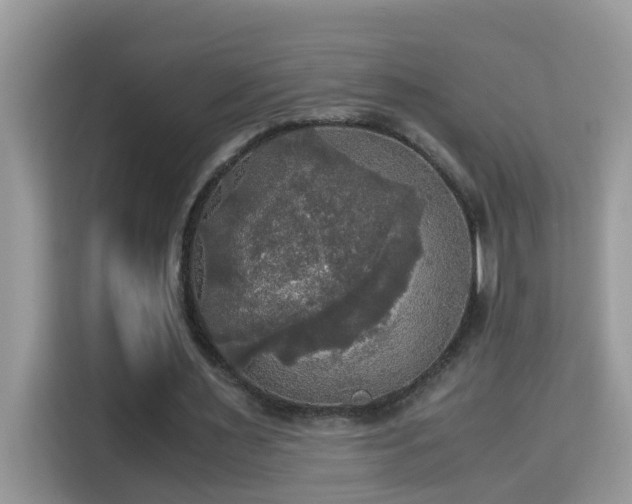 X0000115310483200911091140