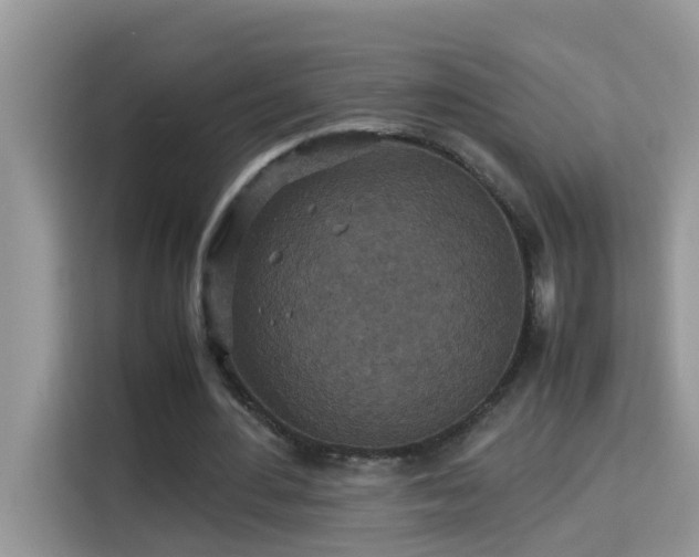 X0000115310484200911091140