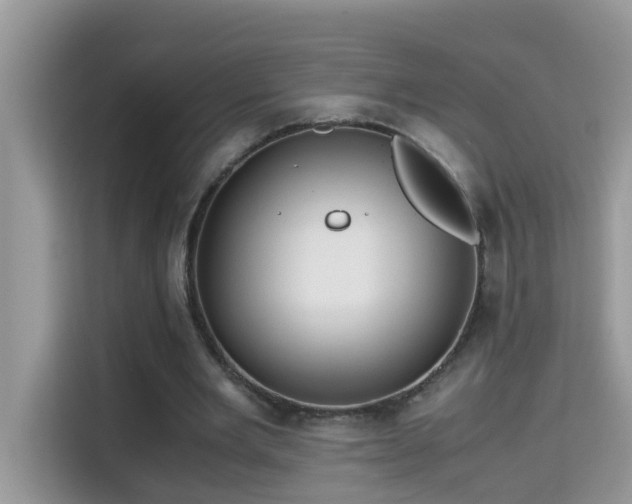 X0000115310485200911091140