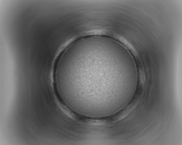 X0000115310486200911091140