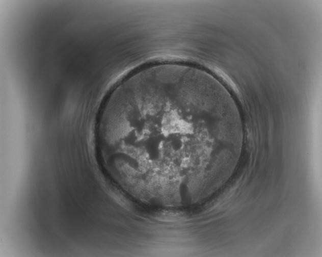 X0000115310487200911091140