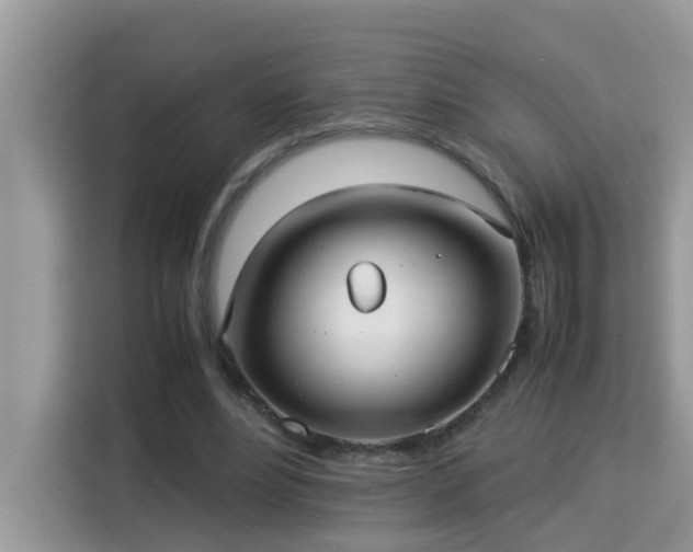 X0000115310488200911091140