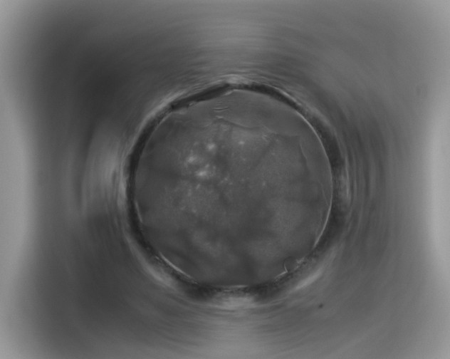 X0000115310491200911091140