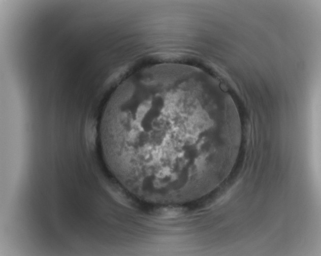 X0000115310495200911091140