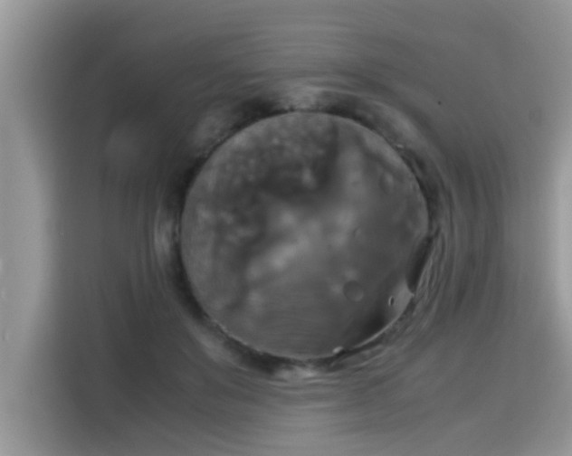 X0000115310503200911091140