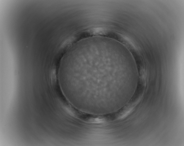 X0000115310506200911091139