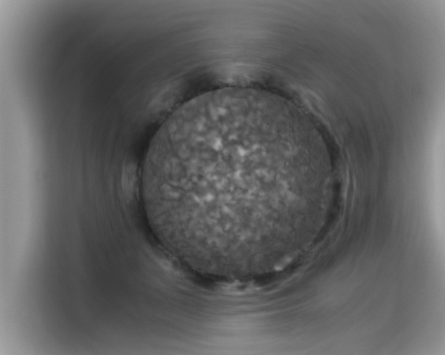 X0000115310511200911091139
