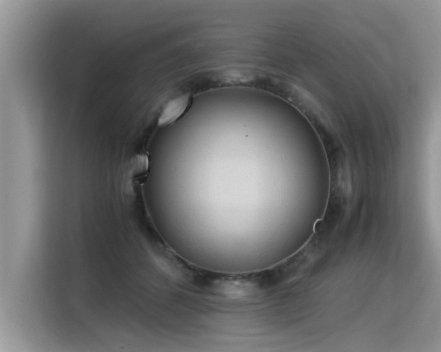 X0000115310512200911091139