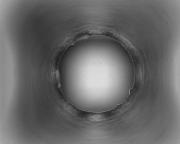 X0000115310513200911091139