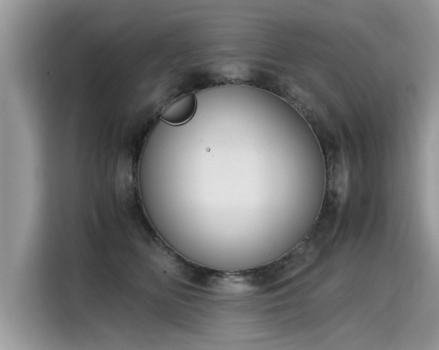 X0000115310518200911091139