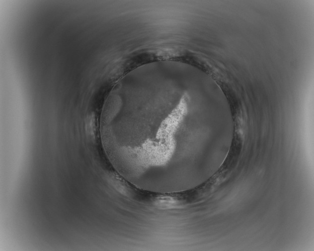 X0000115310519200911091139