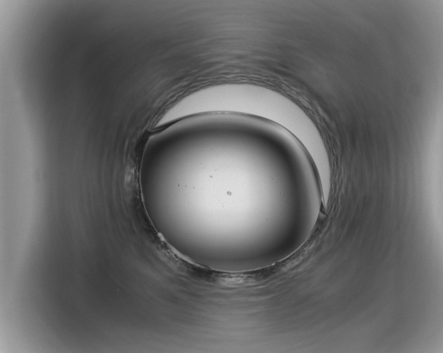 X0000115310521200911091139