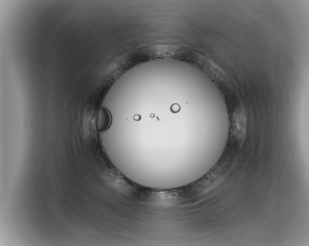 X0000115310522200911091139