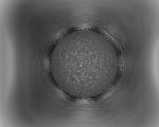 X0000115310523200911091139