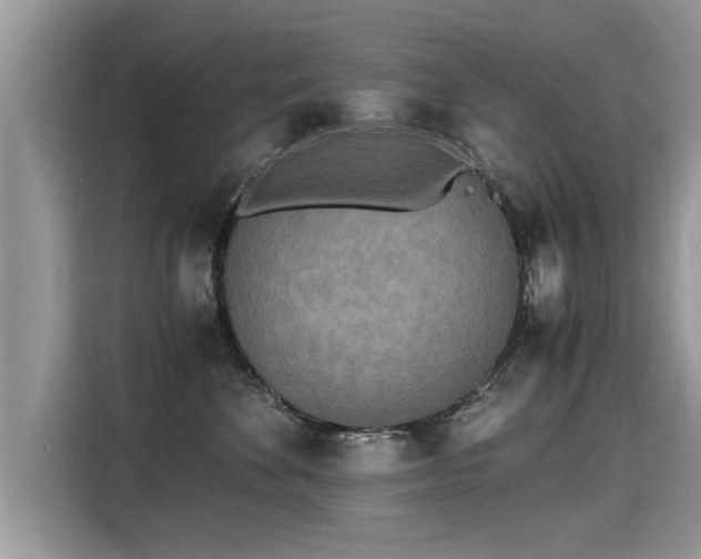X0000115310524200911091139