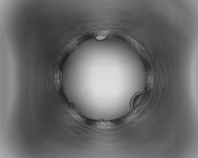 X0000115310525200911091139