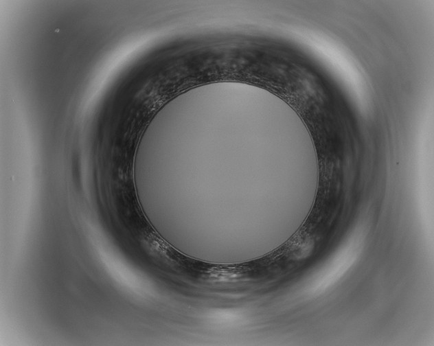 X0000115310526200911091139