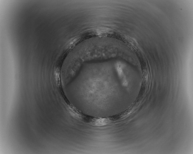 X0000115310527200911091139