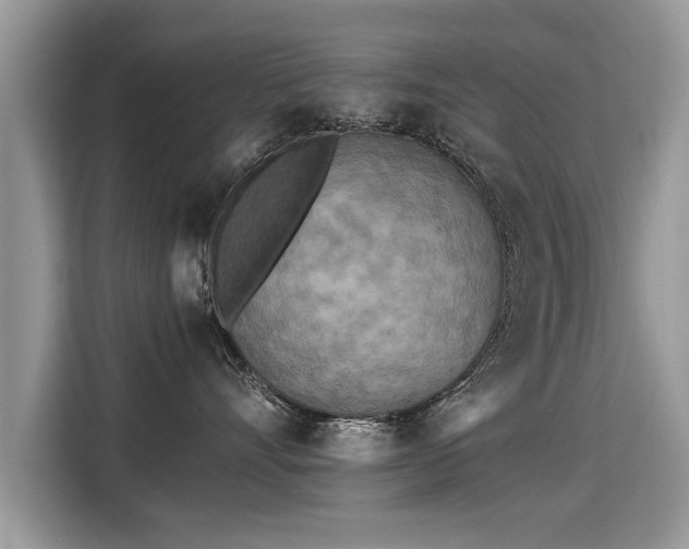 X0000115310528200911091139