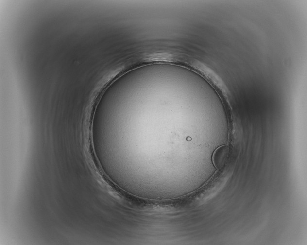 X0000115310529200911091139