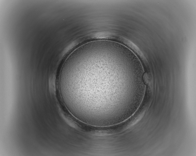 X0000115310530200911091139