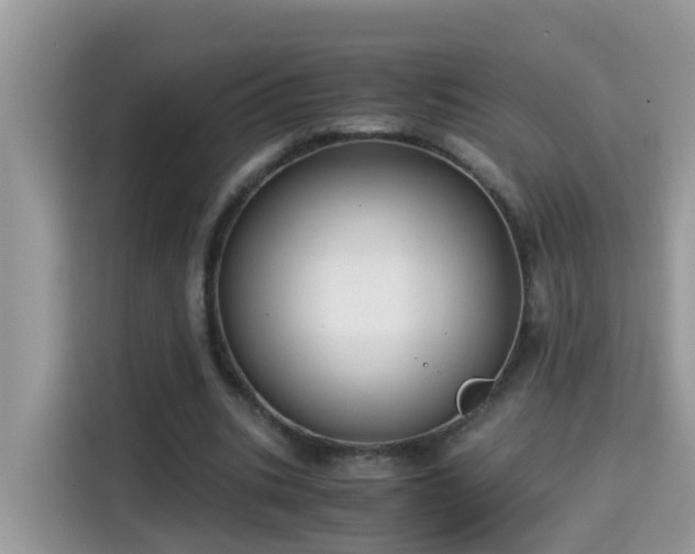 X0000115310535200911091139