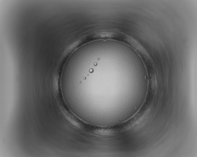 X0000115310537200911091139